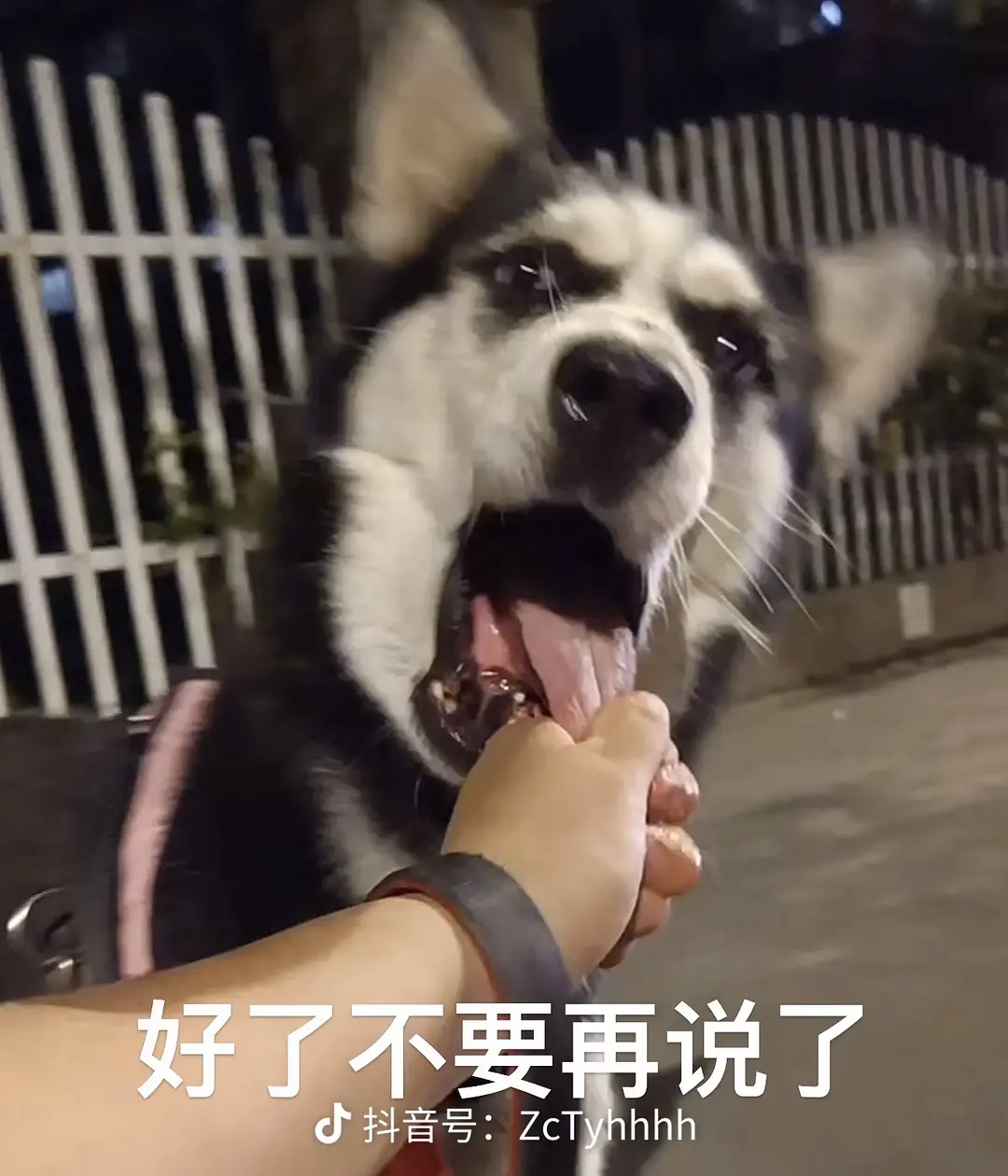 房屋图片 1