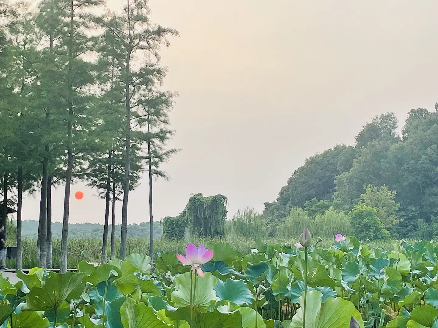 房屋图片 1