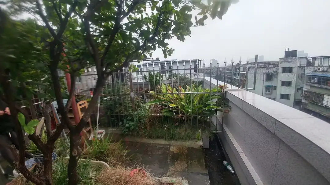 房屋图片 1