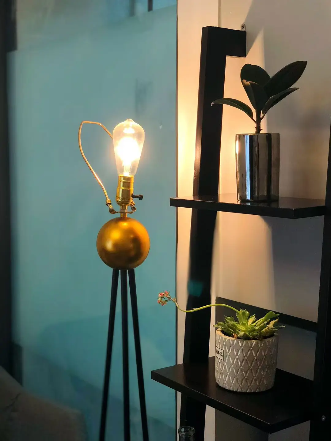 房屋图片 8