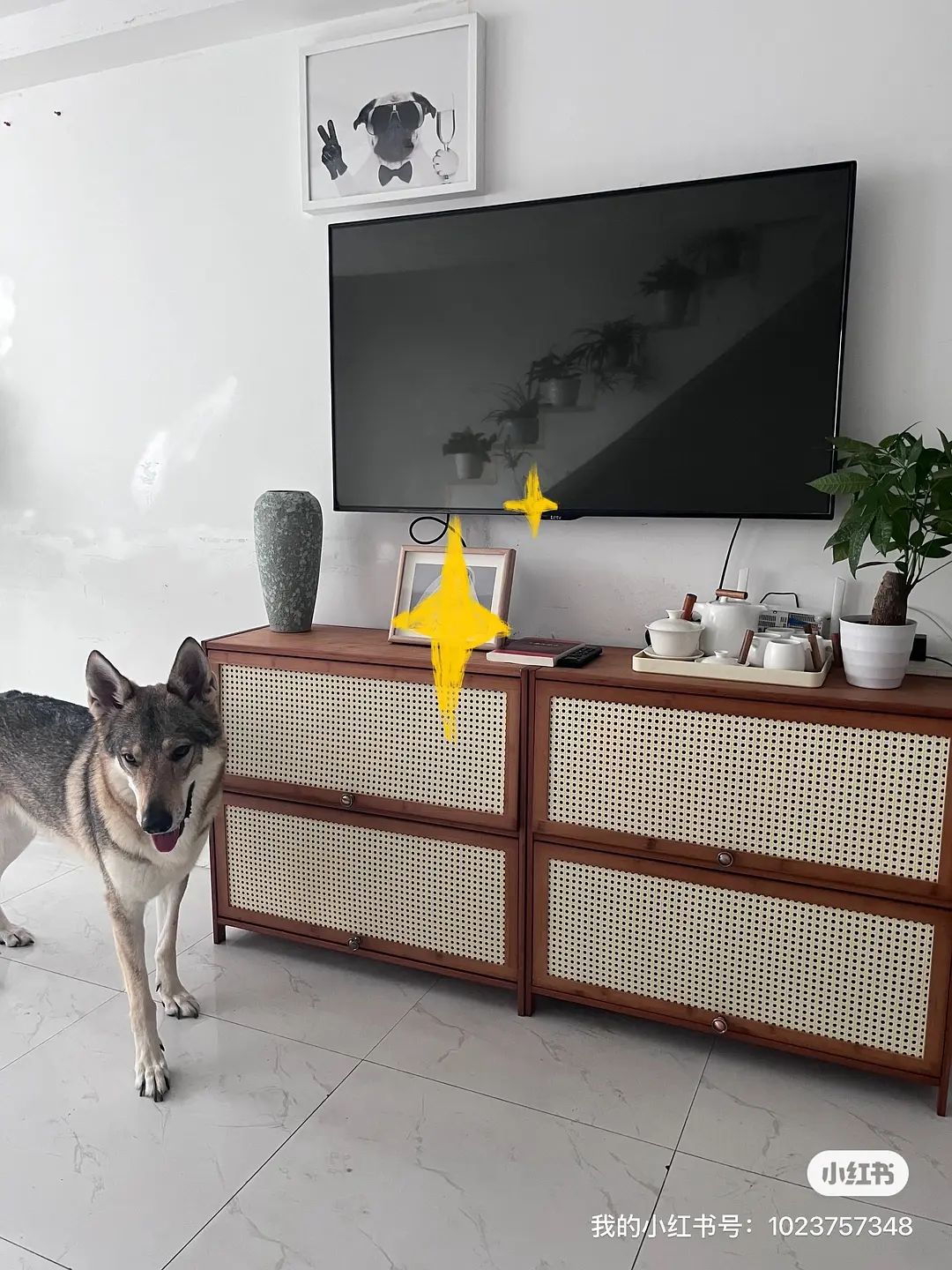 房屋图片 5