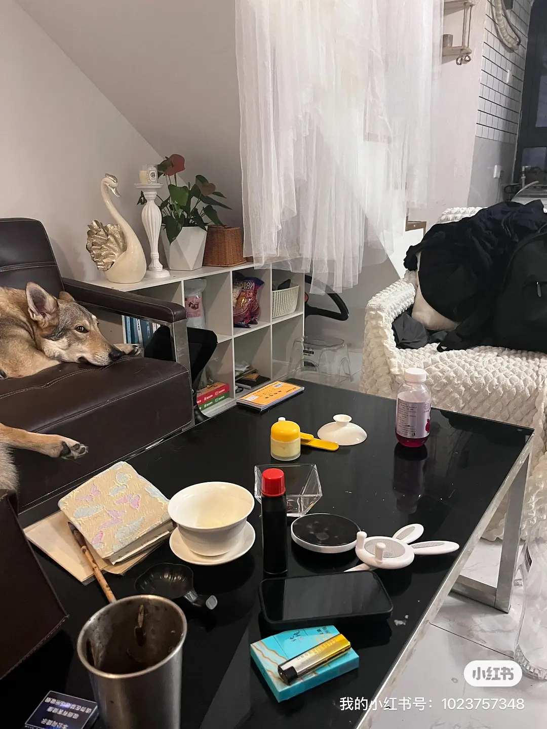 房屋图片 2