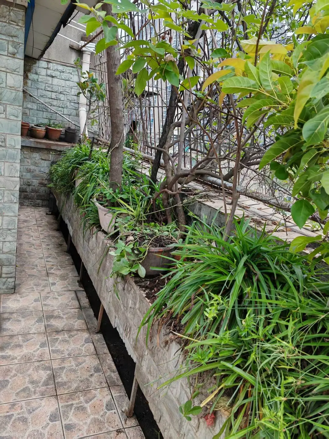 房屋图片 13
