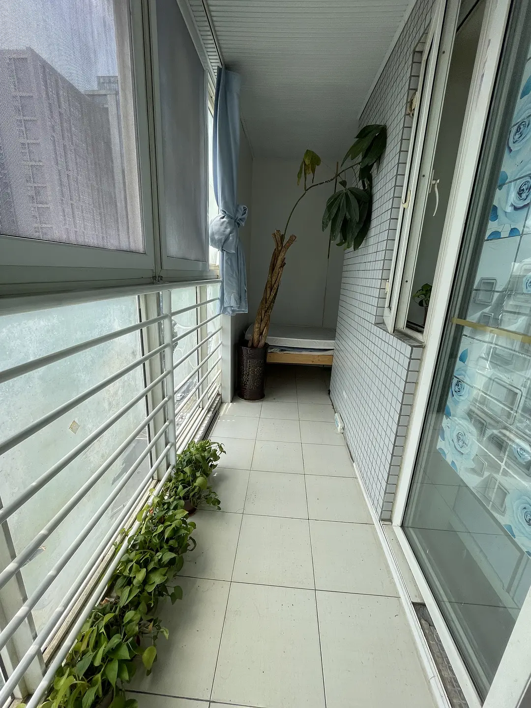房屋图片 9