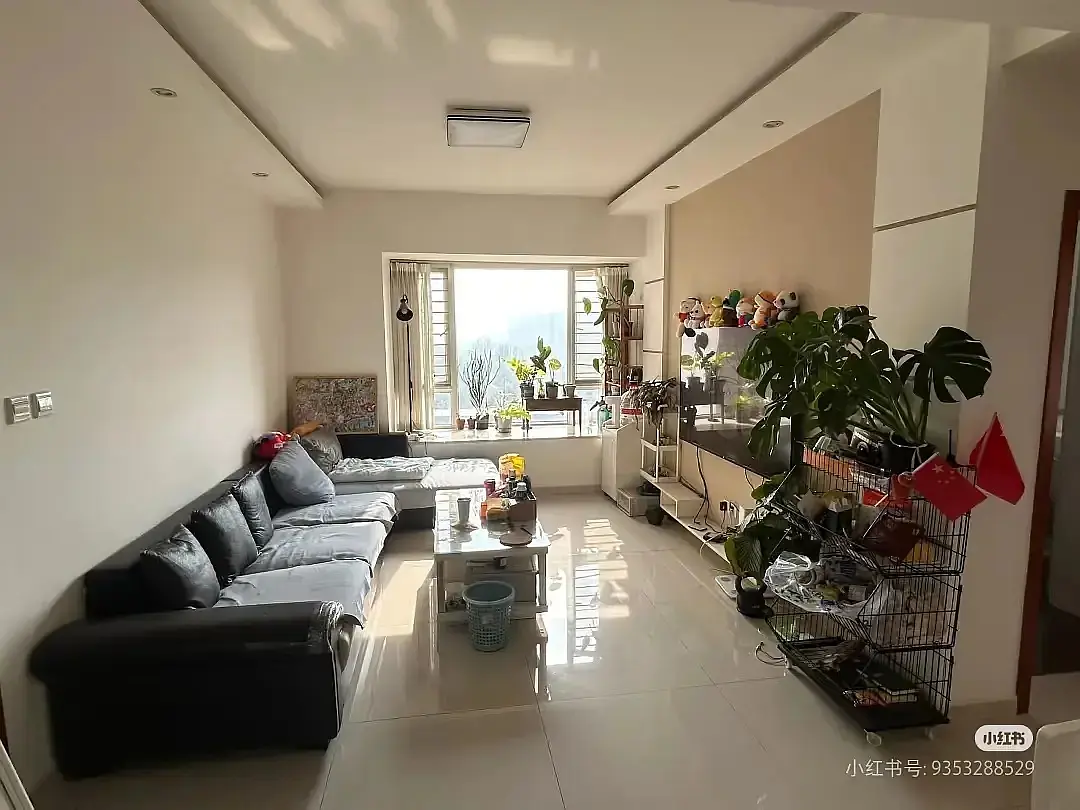 房屋图片 3