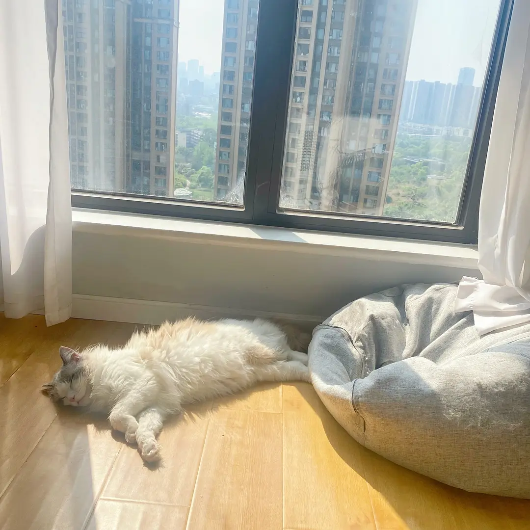 房屋图片 7