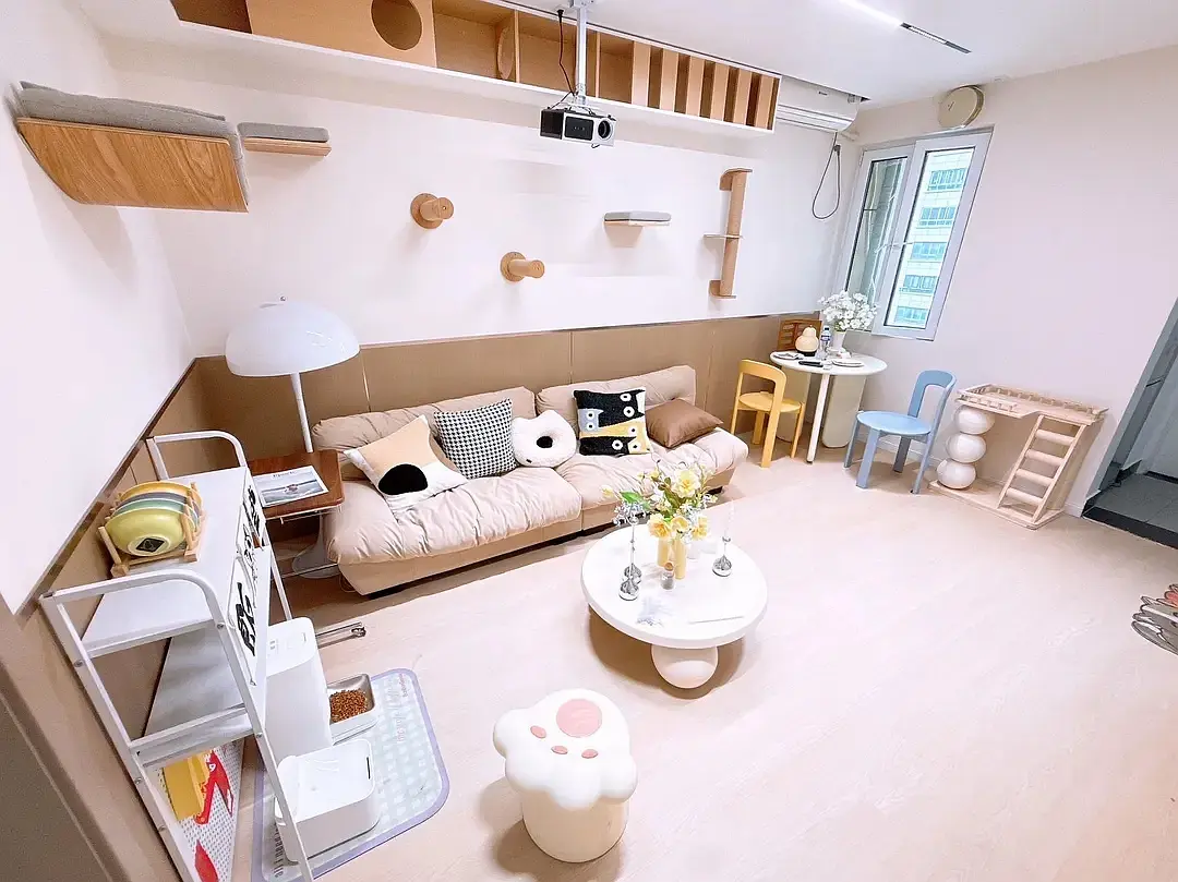 房屋图片 6