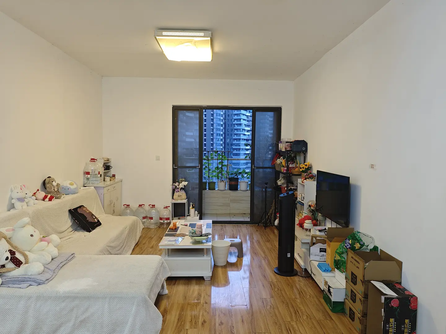 房屋图片 1