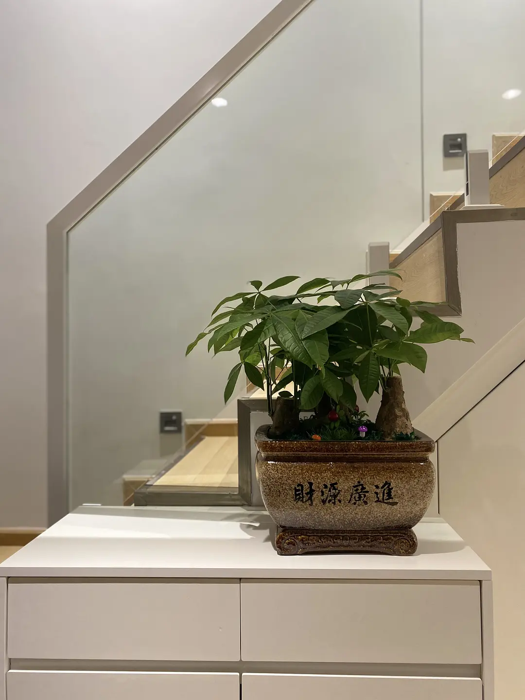 房屋图片 3