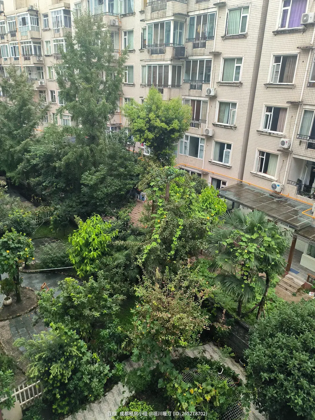 房屋图片 4