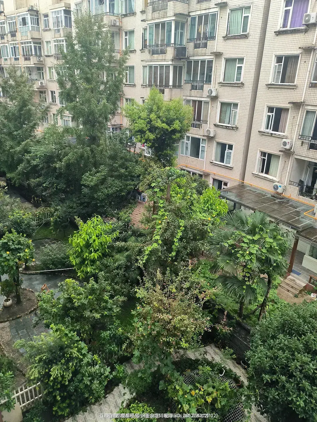 房屋图片 4