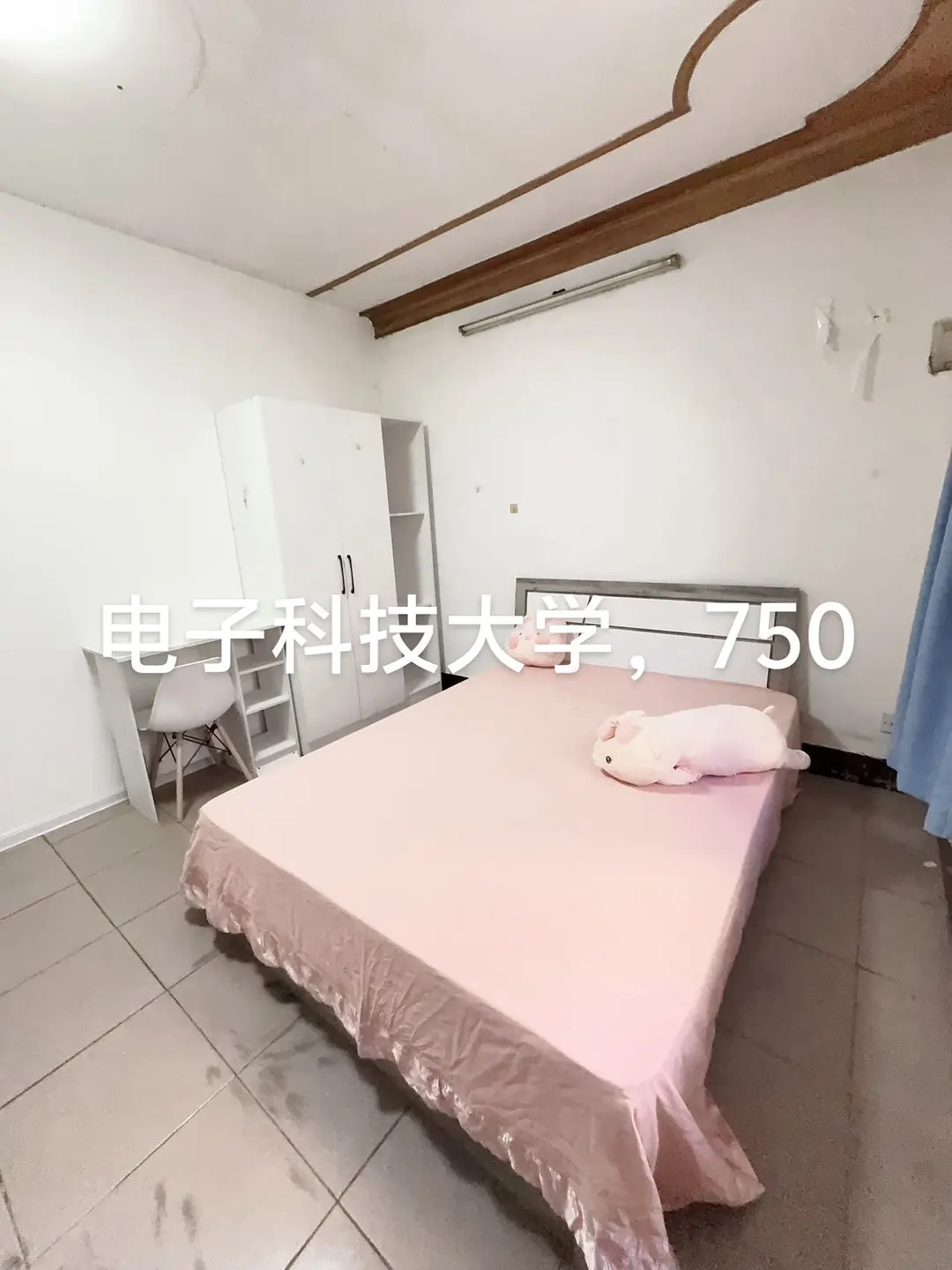 房屋图片 9