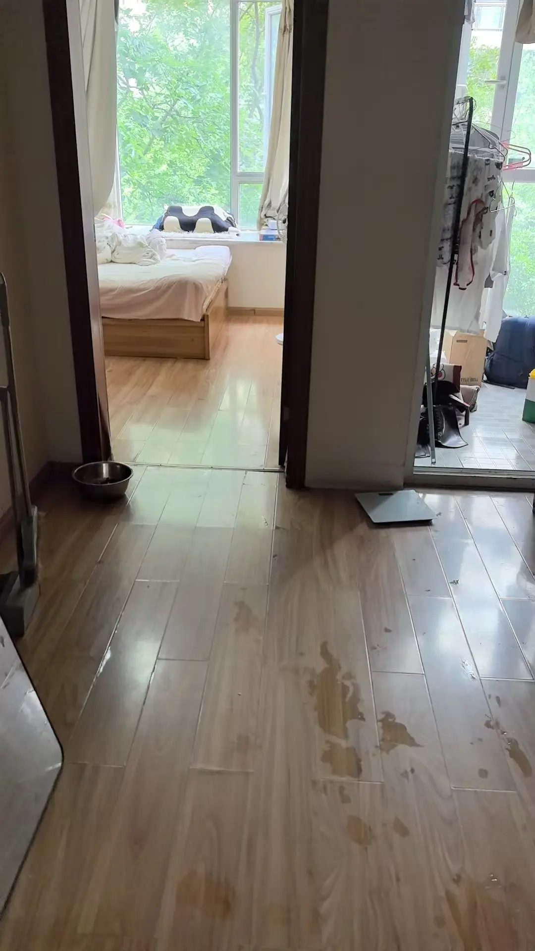 房屋图片 1