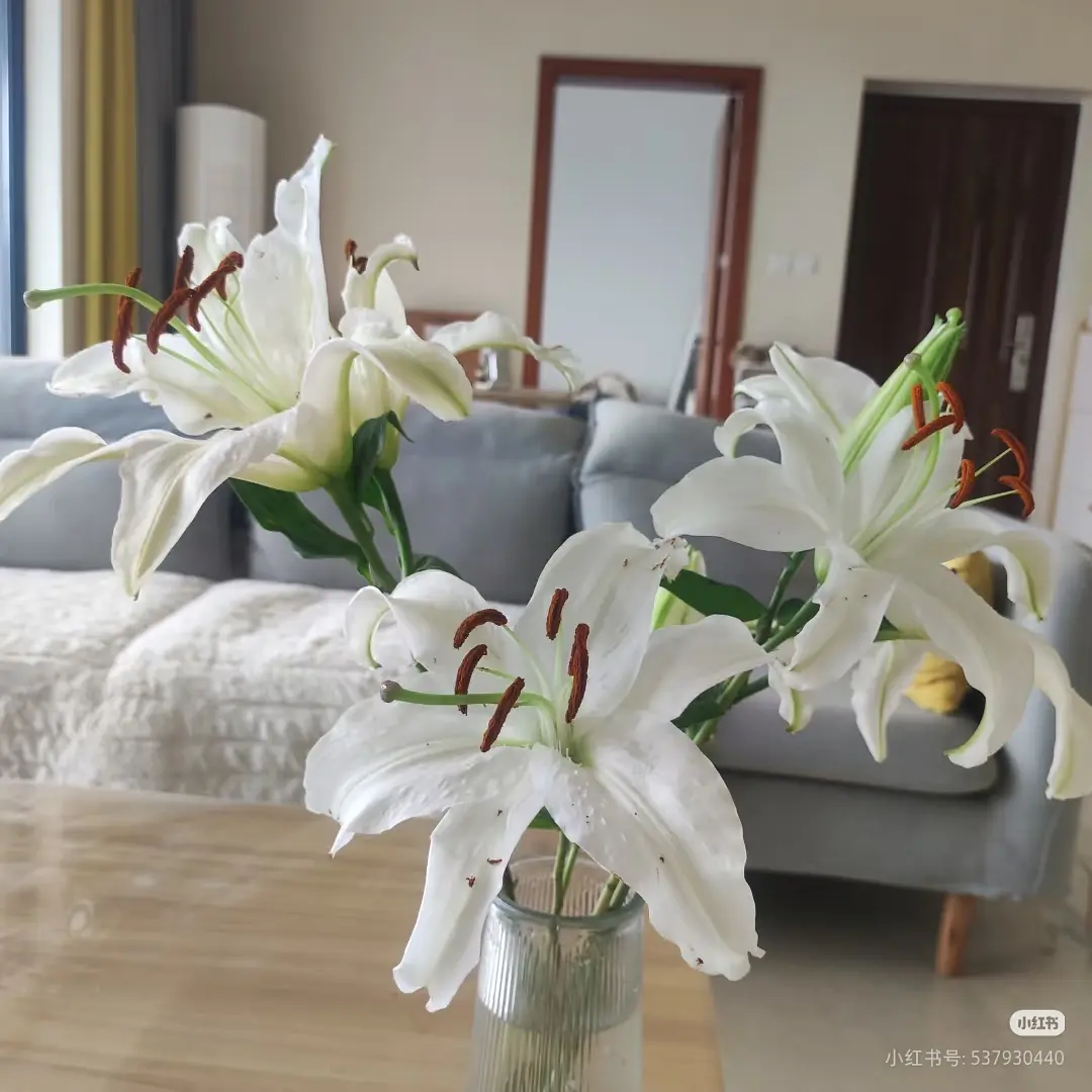 房屋图片 3