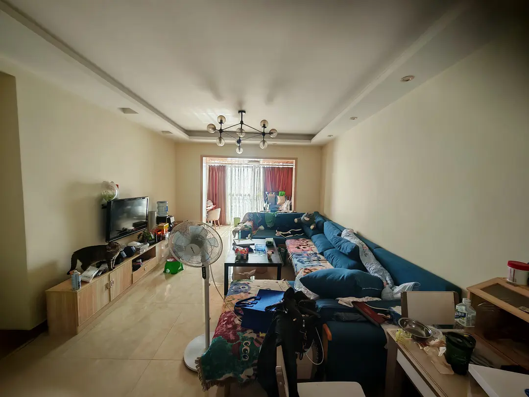 房屋图片 5