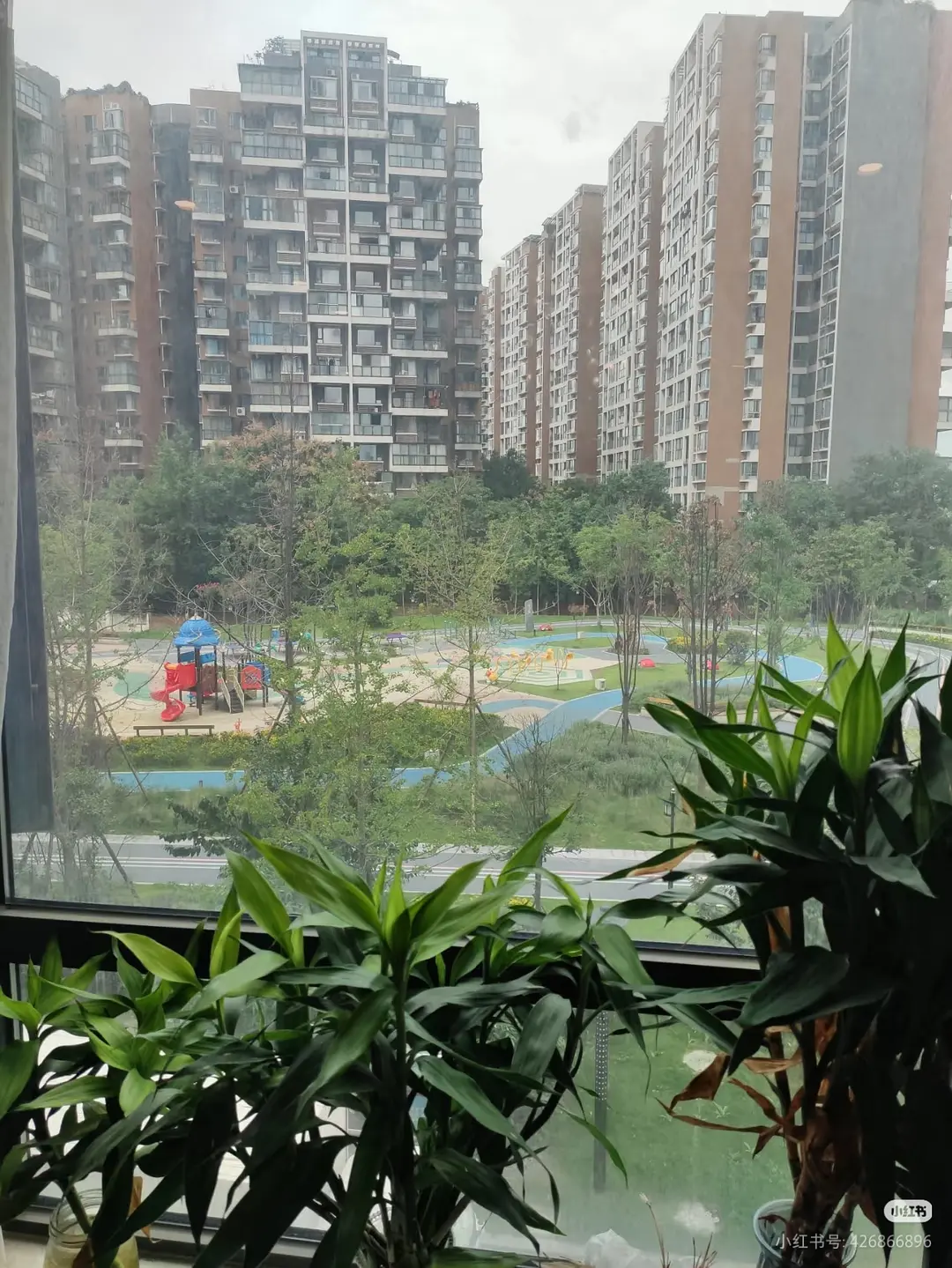 房屋图片 6