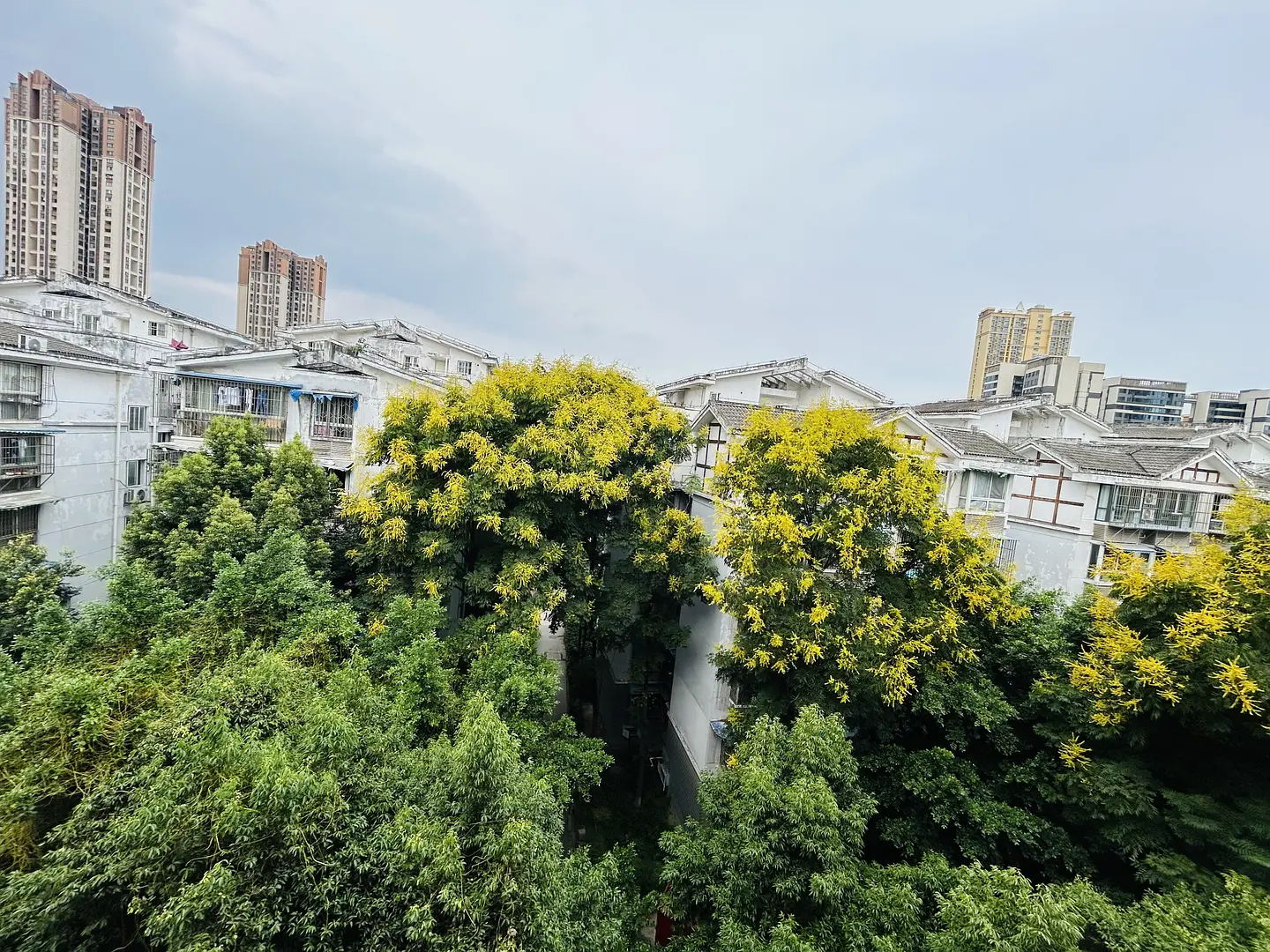 房屋图片 7
