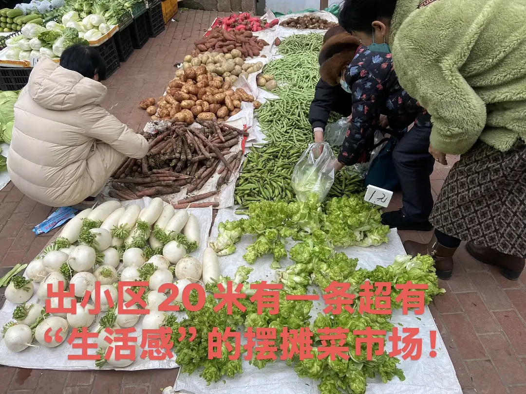 房屋图片 10