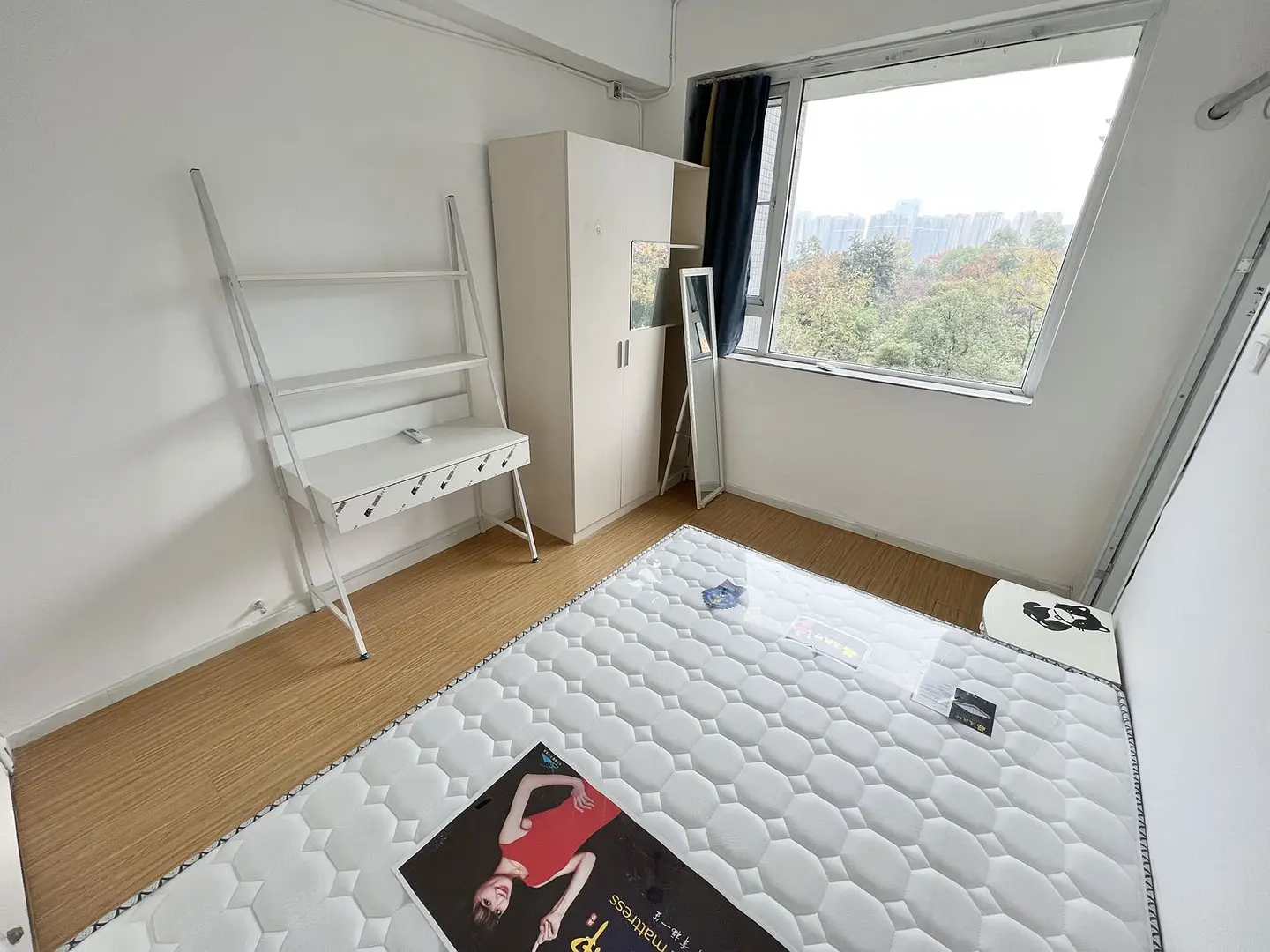 房屋图片 5