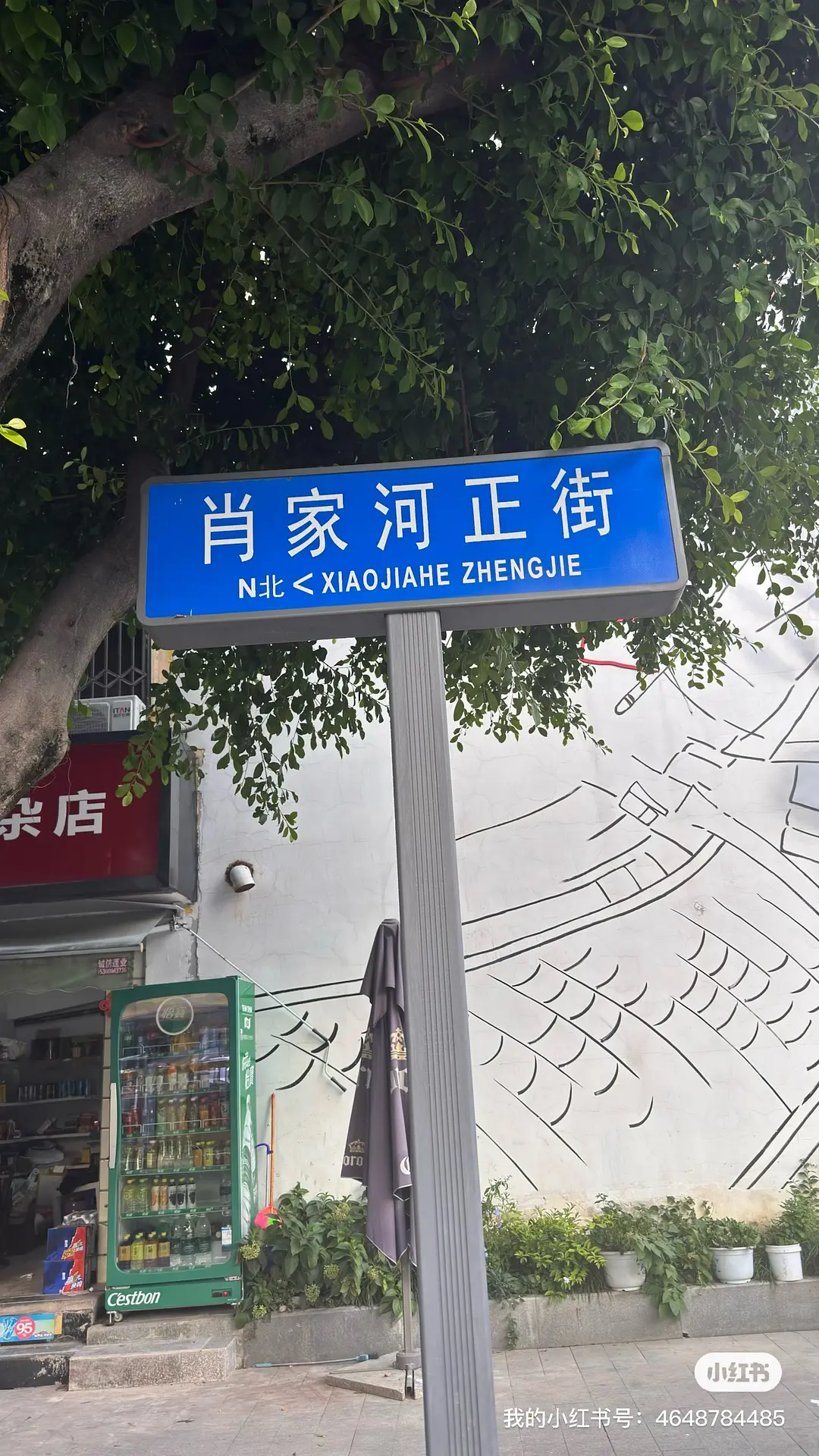 房屋图片 2