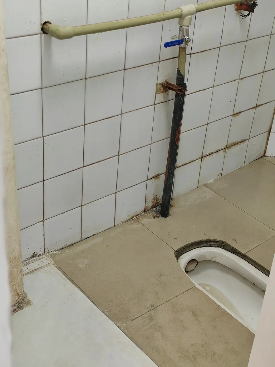 房屋图片 8