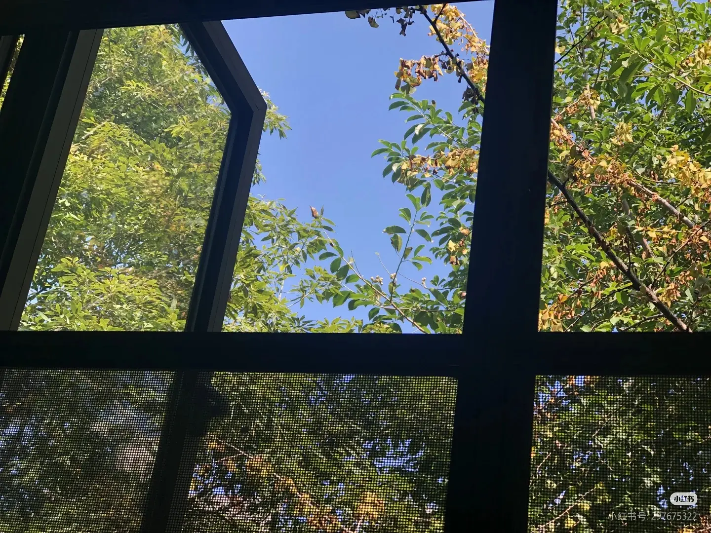 房屋图片 3