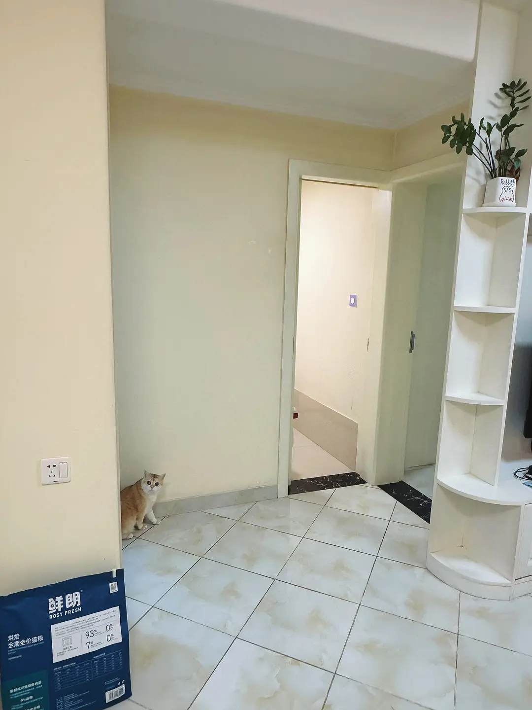 房屋图片 12