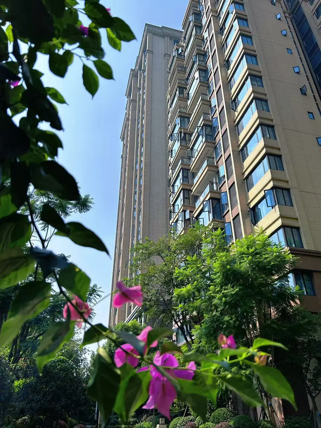 房屋图片 2