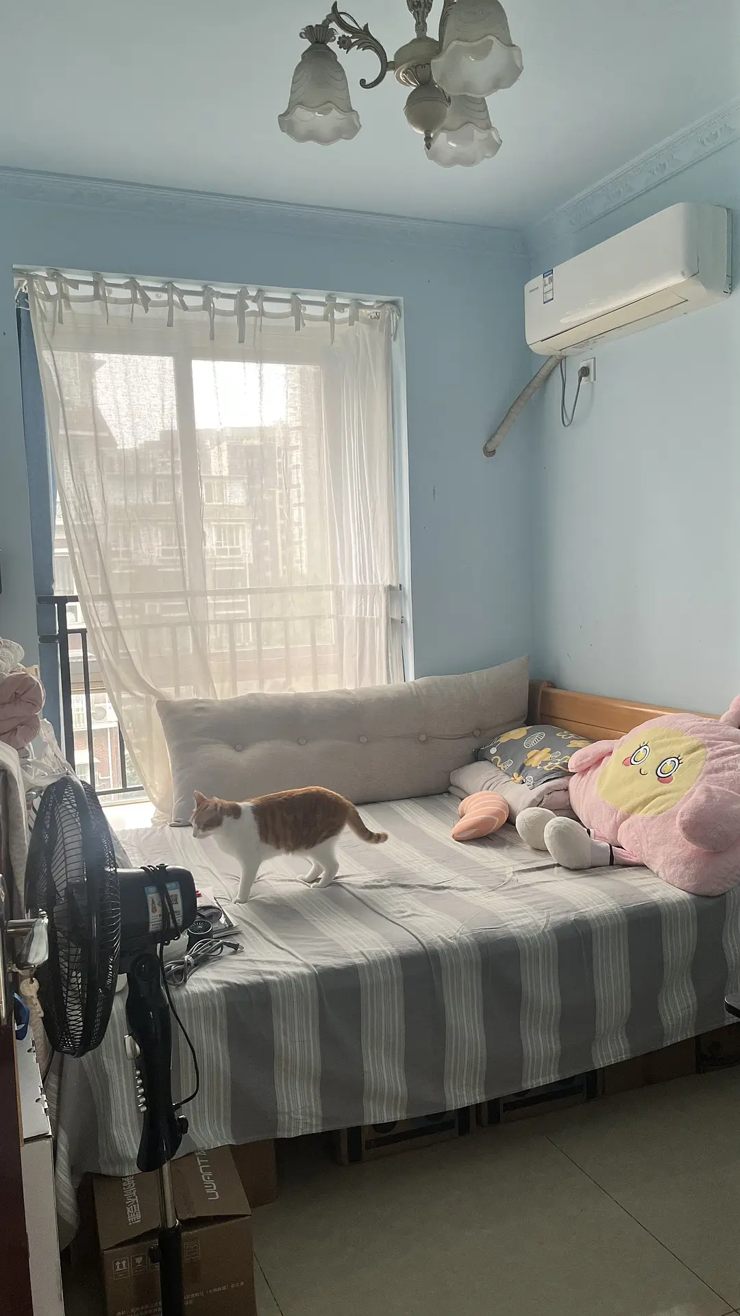 房屋图片 4