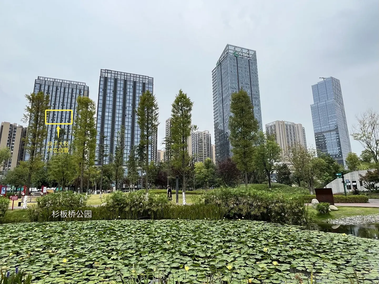 房屋图片 11