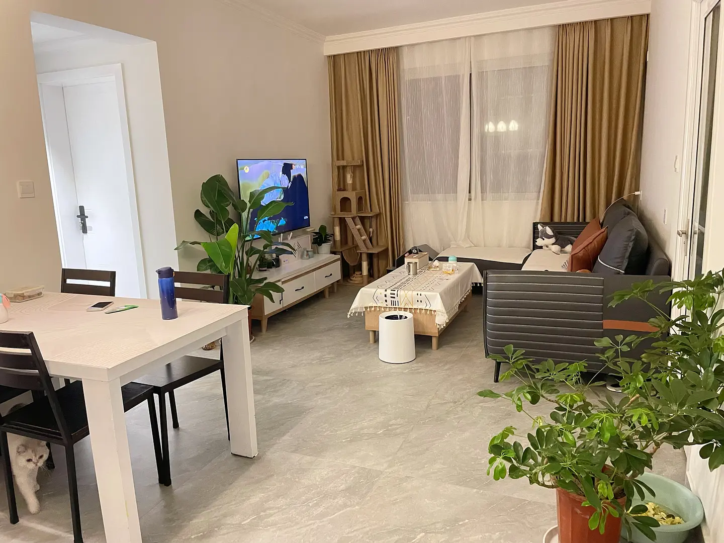 房屋图片 2