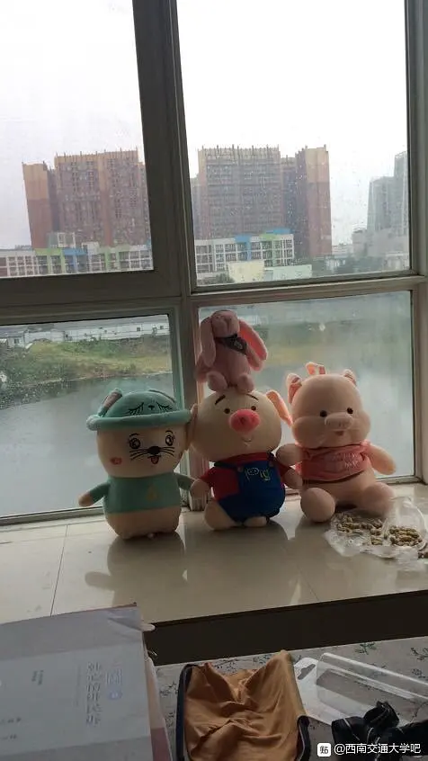 房屋图片 3