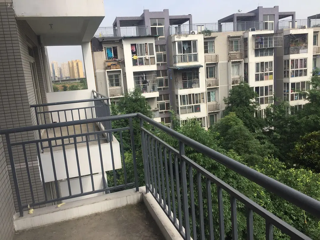 房屋图片 8