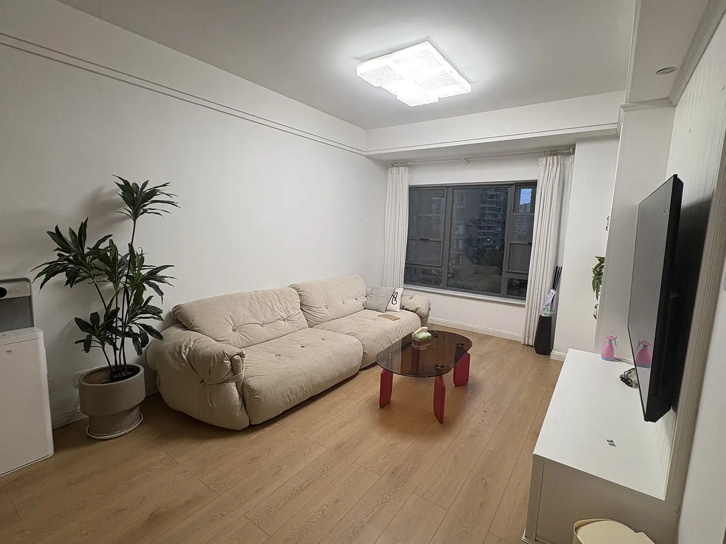 房屋图片 3