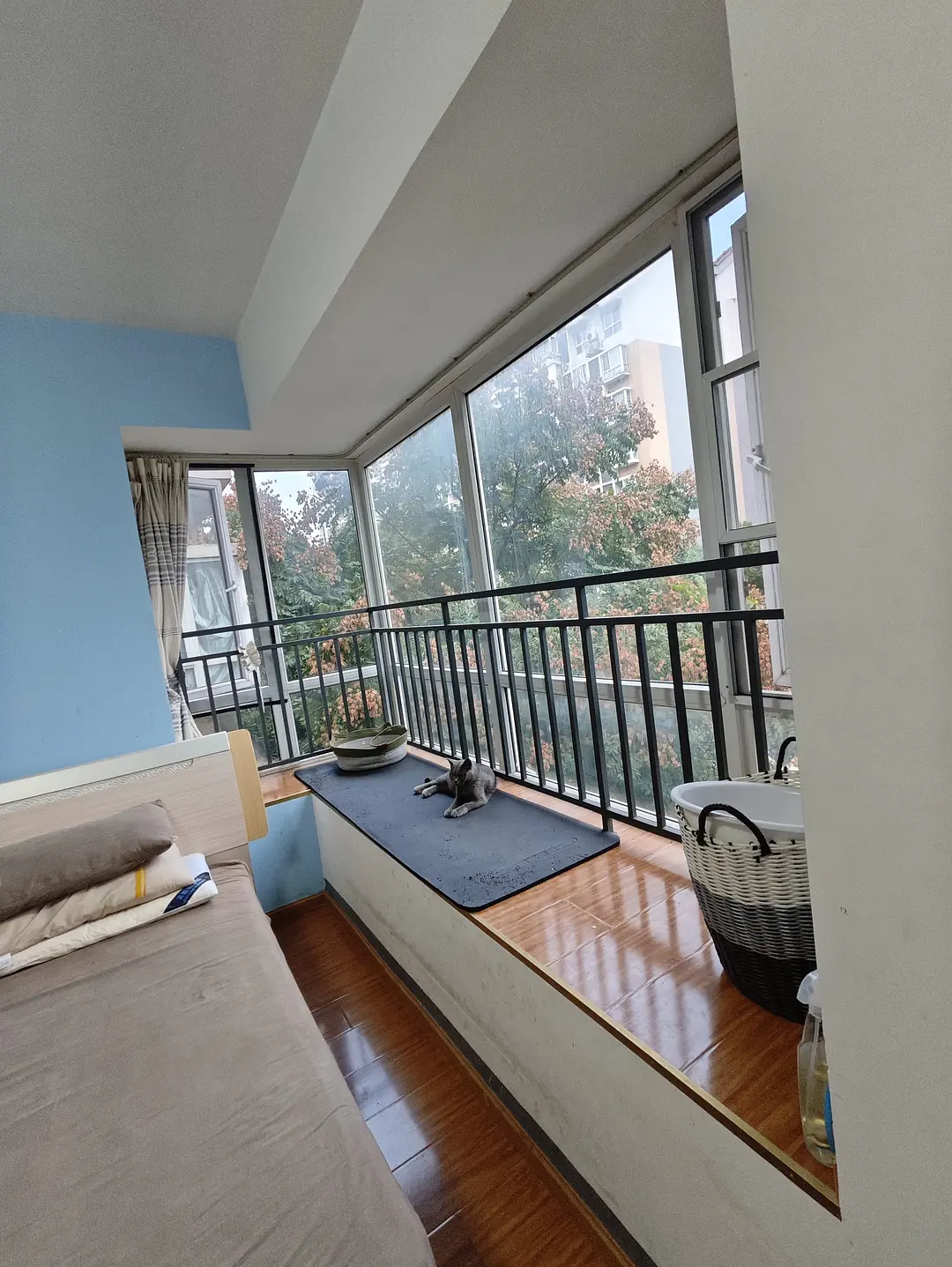 房屋图片 3