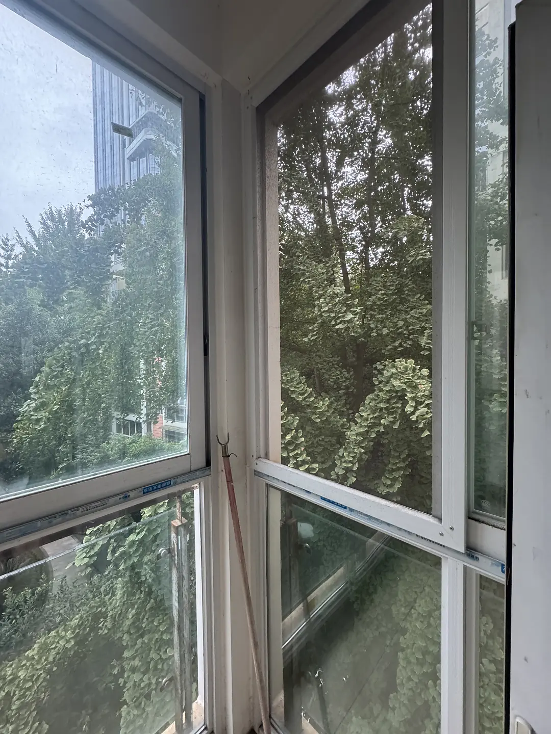 房屋图片 13