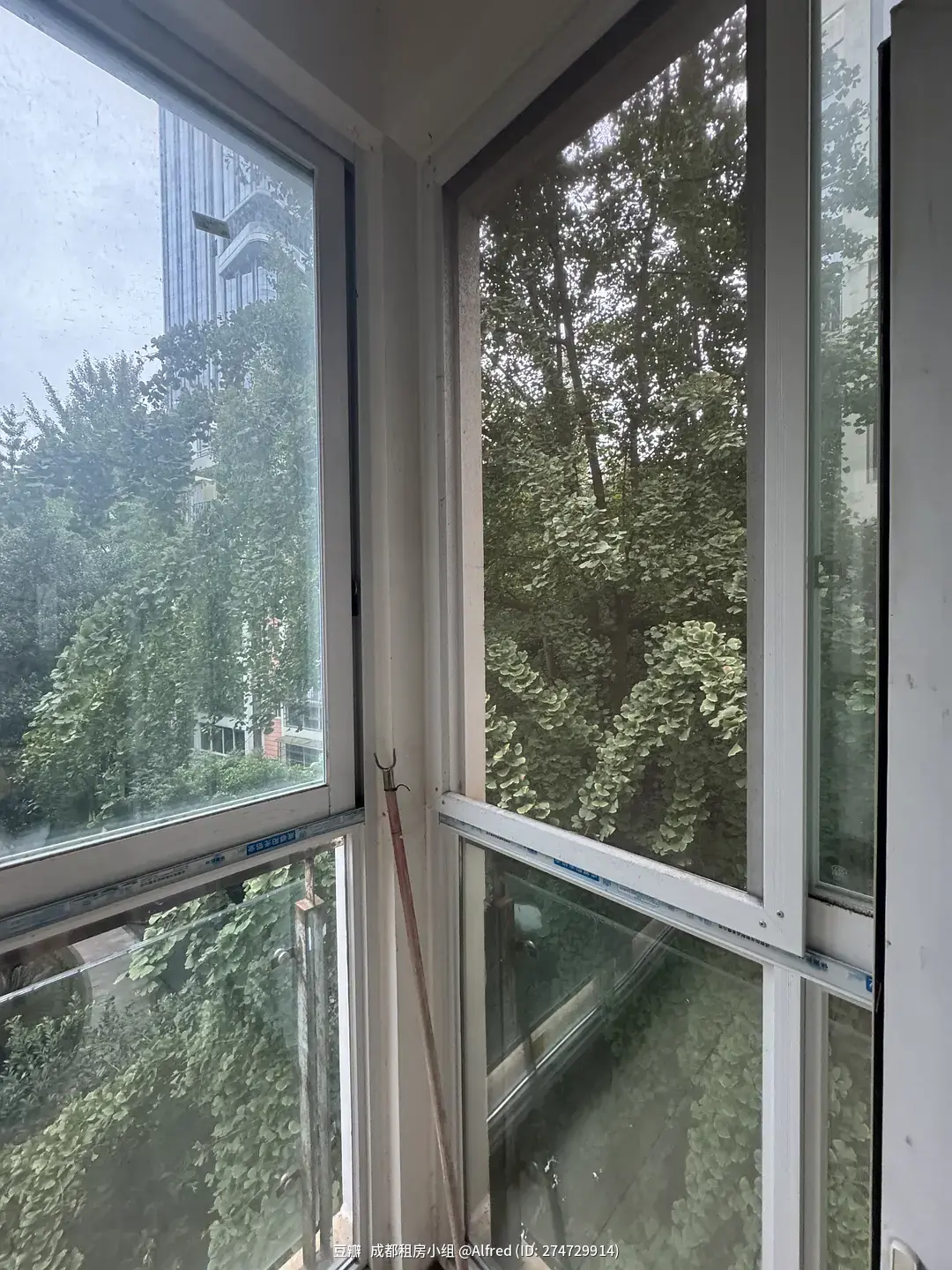 房屋图片 13