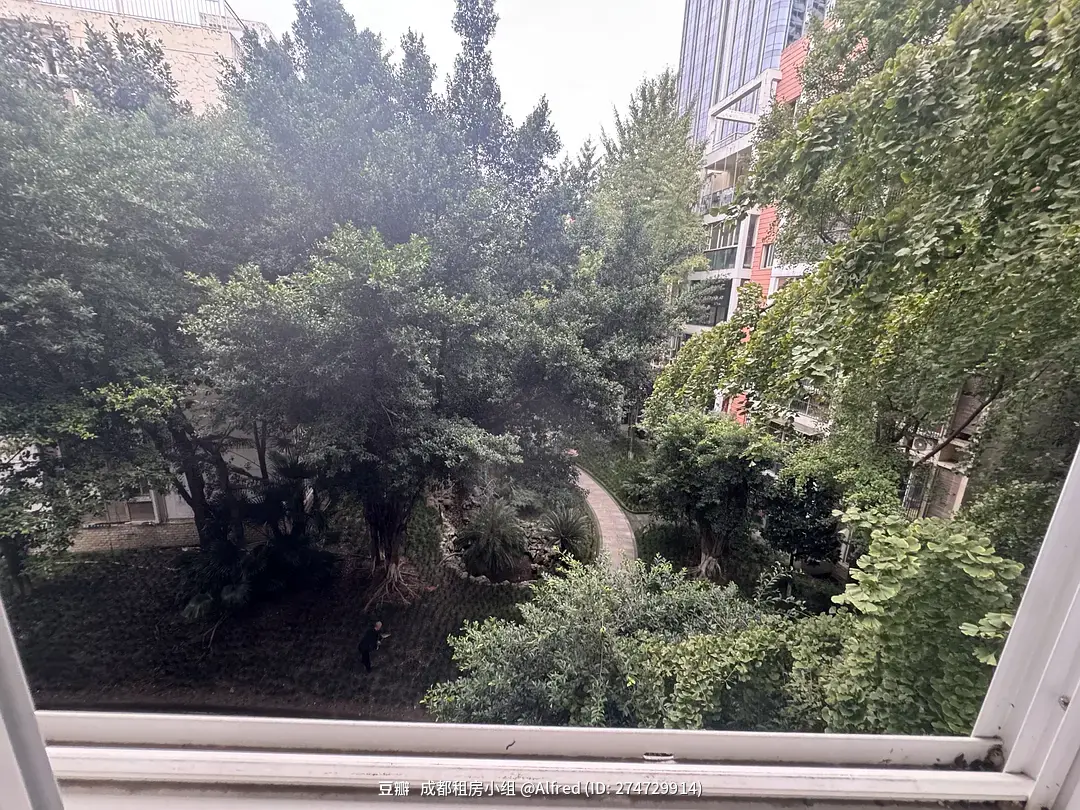 房屋图片 14