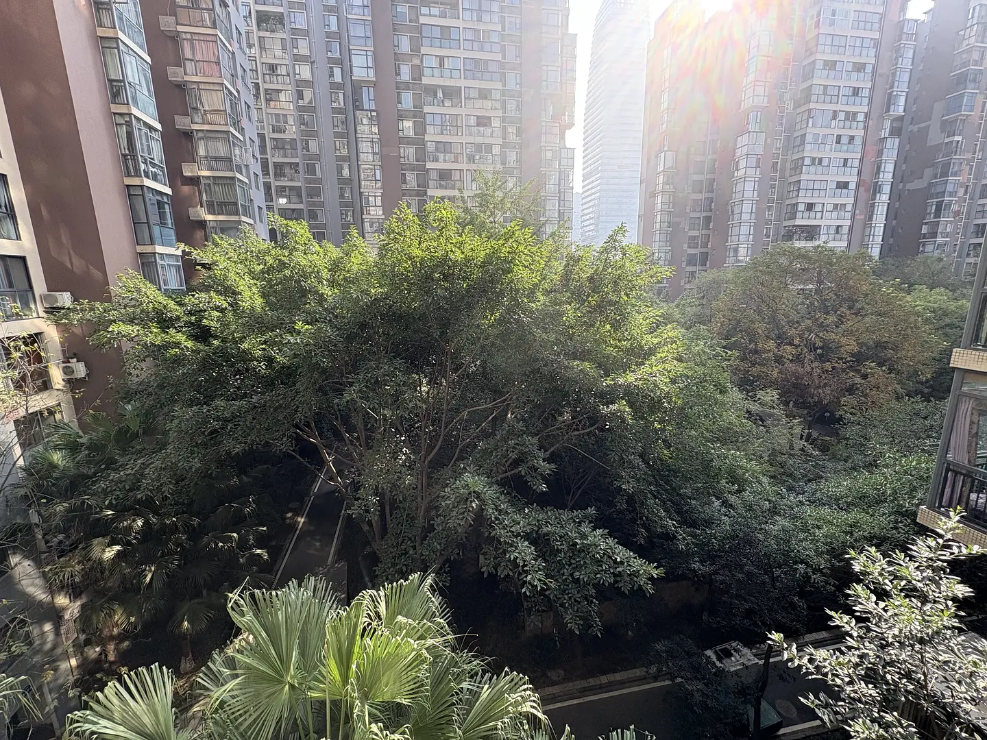 房屋图片 7