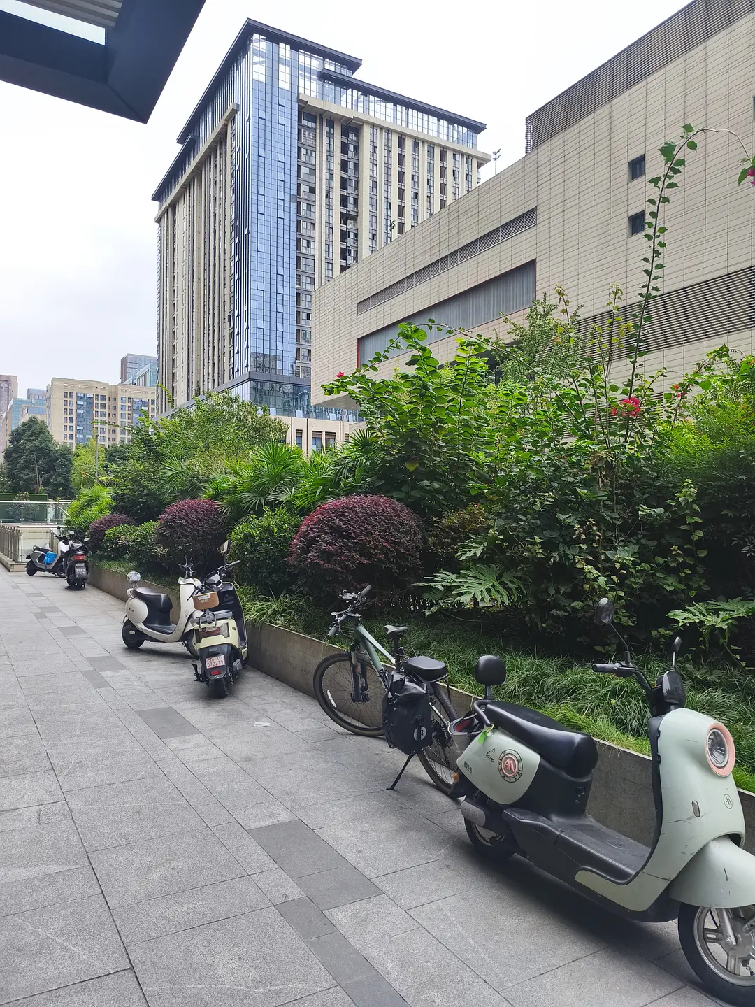 房屋图片 4
