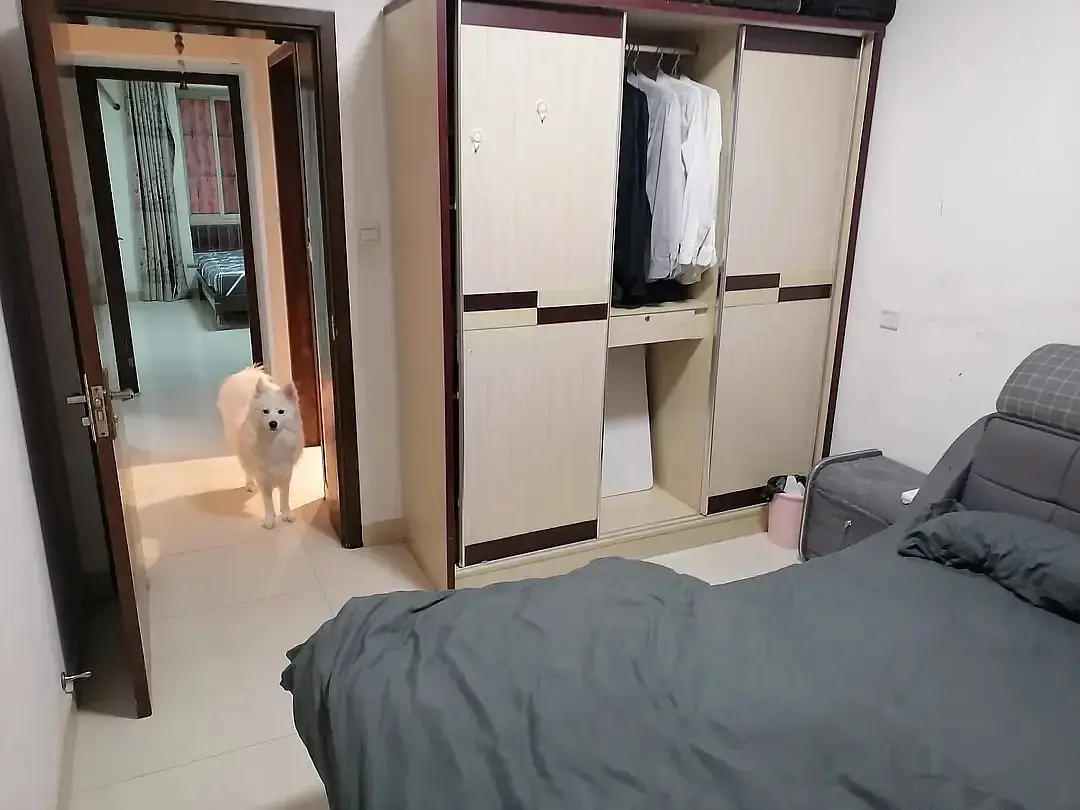 房屋图片 7