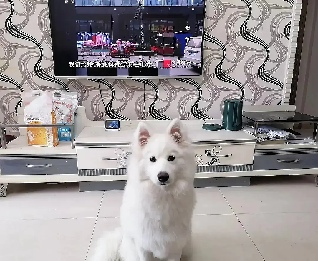 房屋图片 5