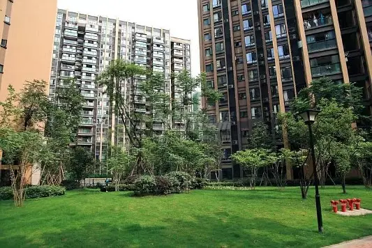 房屋图片 7