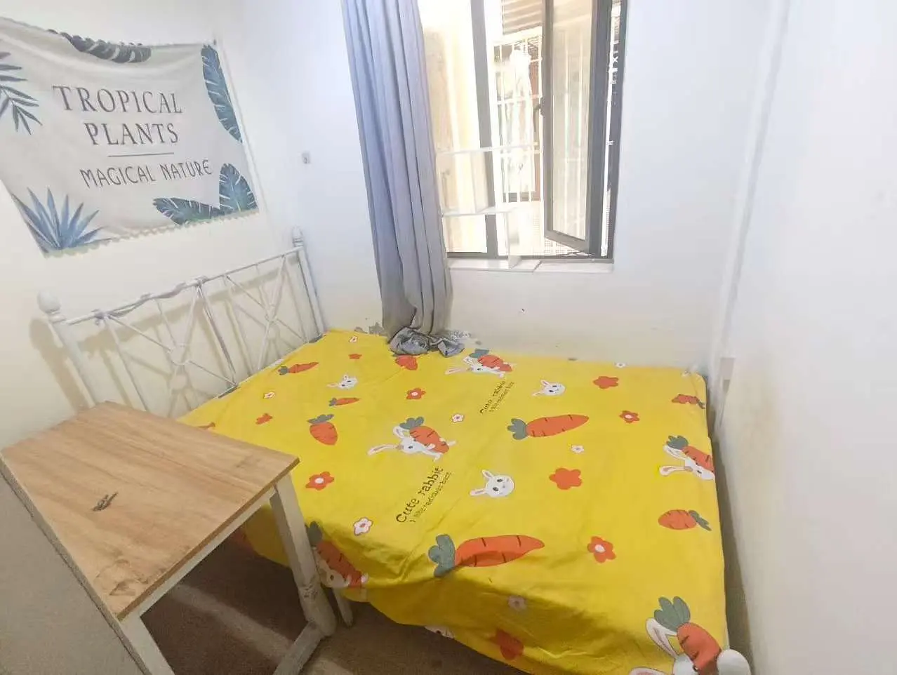 房屋图片 7
