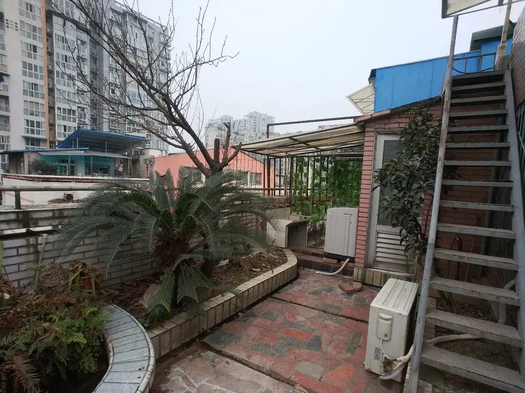 房屋图片 7