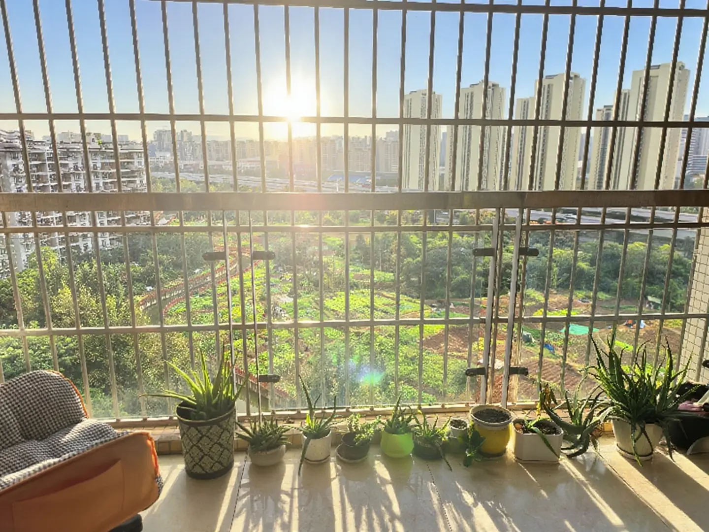 房屋图片 1