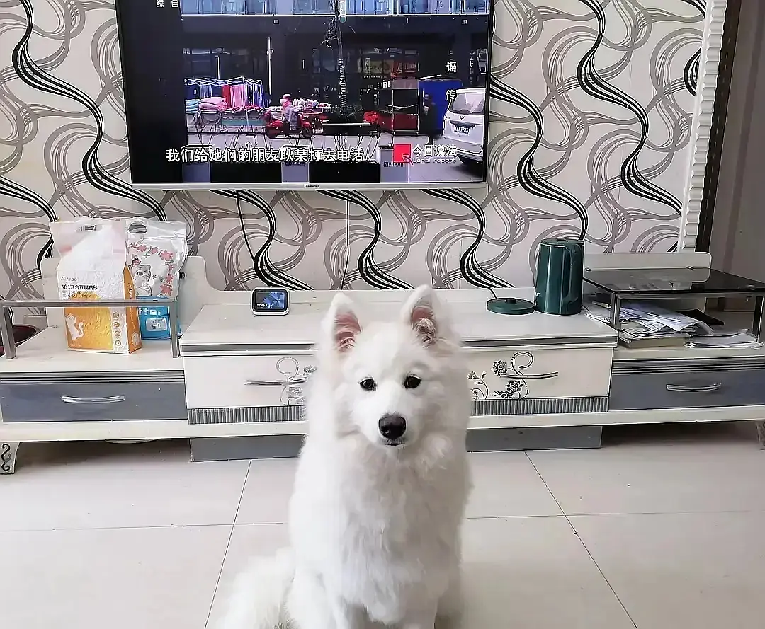 房屋图片 5