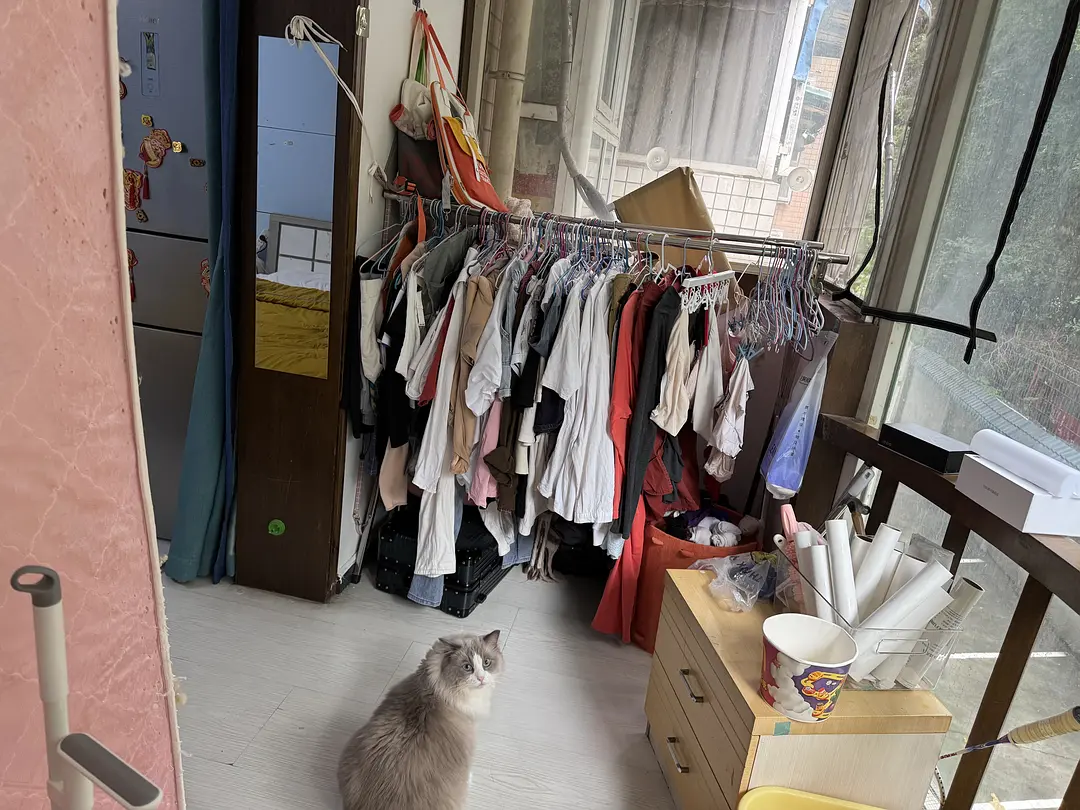 房屋图片 5