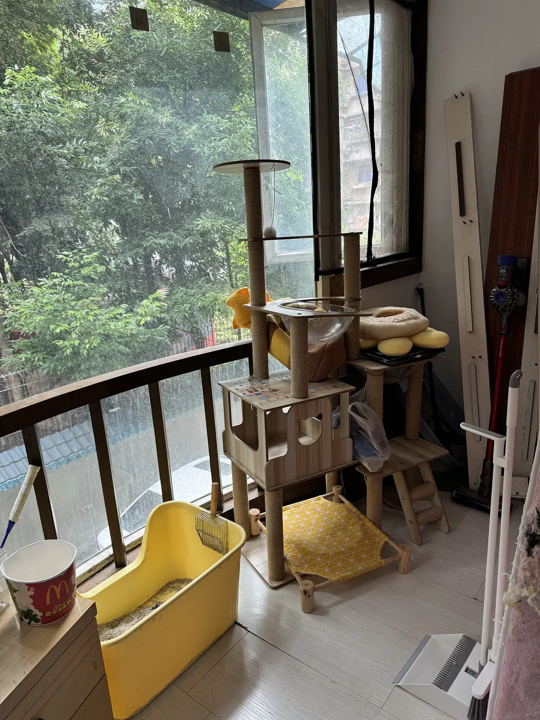 房屋图片 4