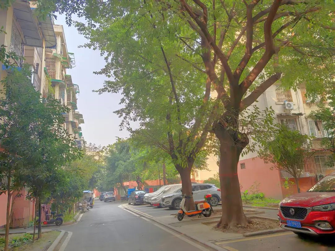 房屋图片 6